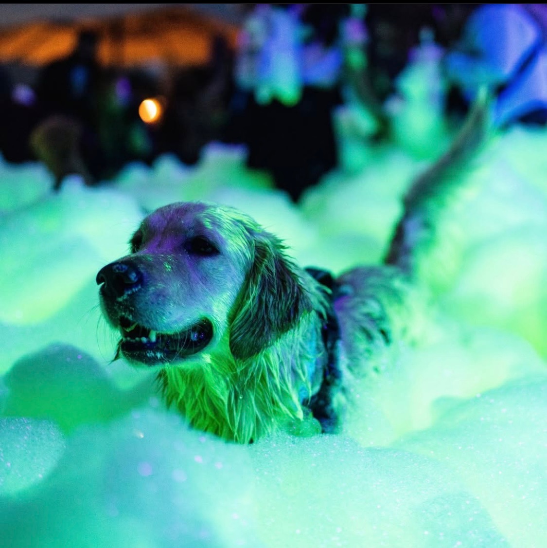 Fun for the whole family - Uncle Als Foam Parties foam party rentals Hammond, LA